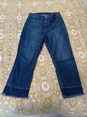 Joe's Jeans Blue Denim - The Jane